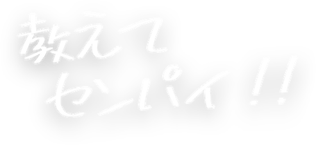 先輩社員インタビュー